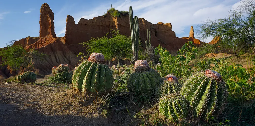 Desierto de la Tatacoa
