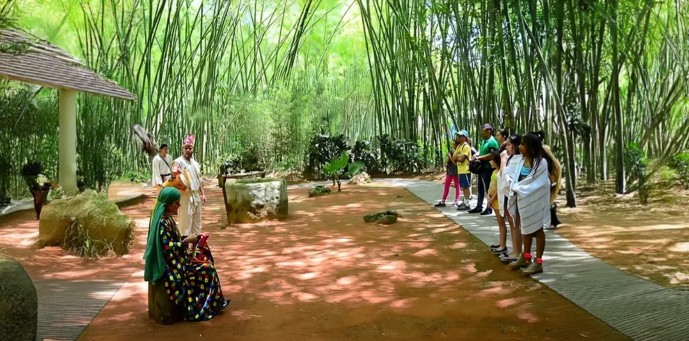 Ukumarí & Consotá